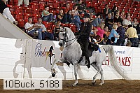 10buck_5188 proof