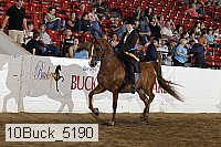 10buck_5190 proof