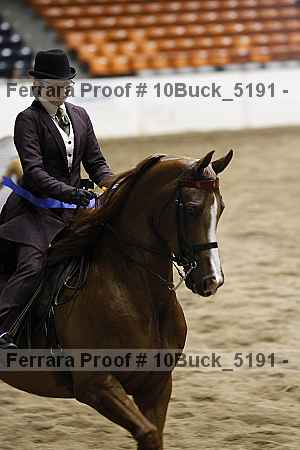 Proof 10buck_5191