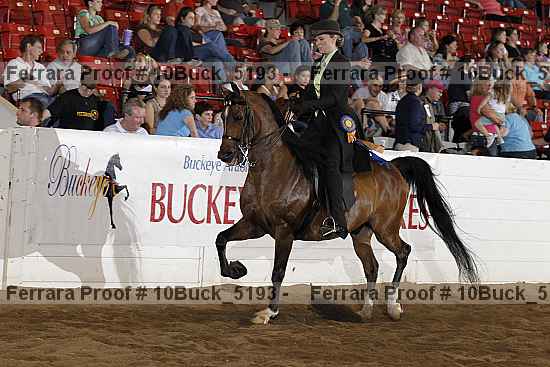 Proof 10buck_5193