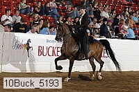10buck_5193 proof