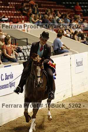 Proof 10buck_5202