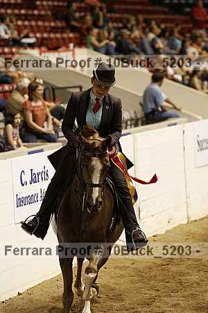 Proof 10buck_5203