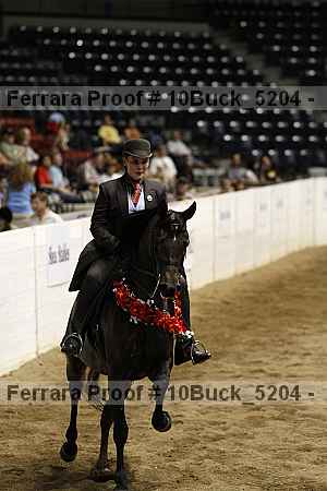 Proof 10buck_5204