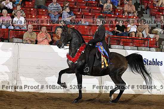 Proof 10buck_5205