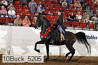 10buck_5205 proof