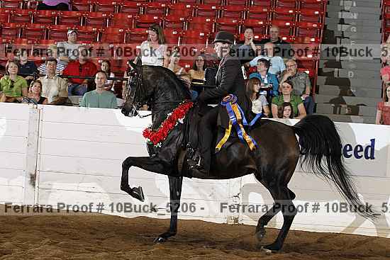 Proof 10buck_5206