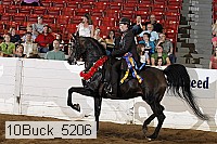 10buck_5206 proof