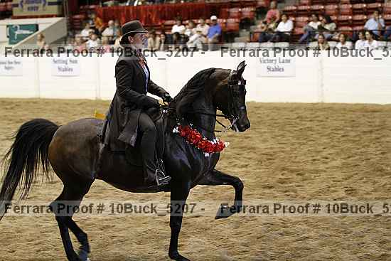 Proof 10buck_5207