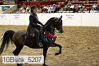 10buck_5207 proof