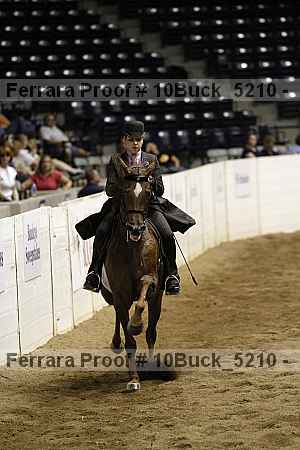 Proof 10buck_5210