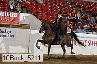10buck_5211 proof