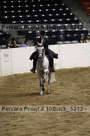 Proof 10buck_5213