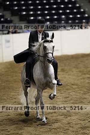 Proof 10buck_5214