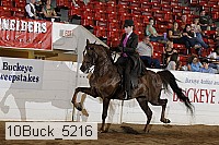 10buck_5216 proof