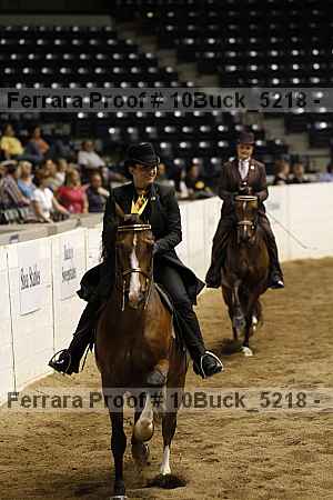 Proof 10buck_5218