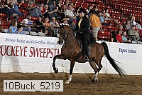 10buck_5219 proof