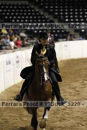 Proof 10buck_5220