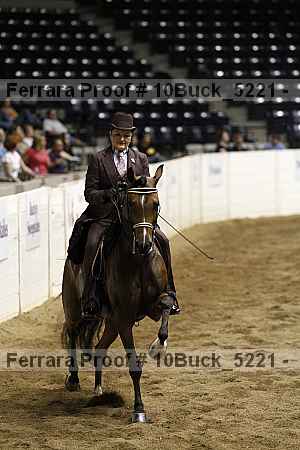Proof 10buck_5221