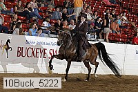 10buck_5222 proof