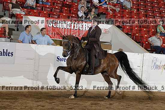 Proof 10buck_5223