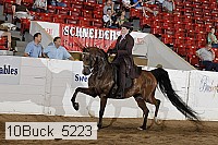 10buck_5223 proof