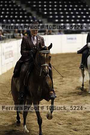 Proof 10buck_5224