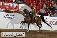 10buck_5227 proof