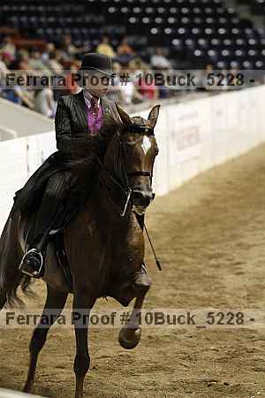 Proof 10buck_5228