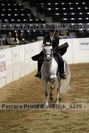 Proof 10buck_5229