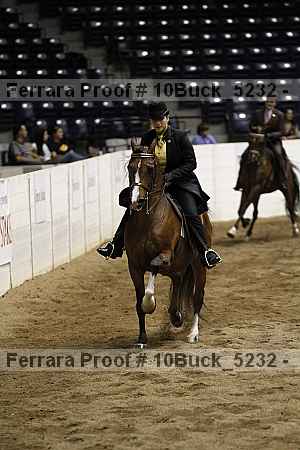 Proof 10buck_5232