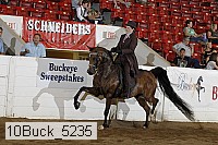 10buck_5235 proof