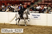 10buck_5237 proof