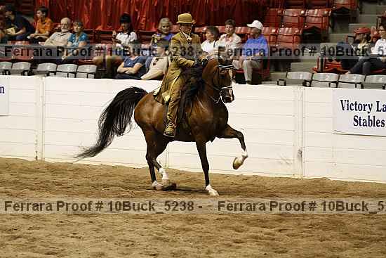 Proof 10buck_5238
