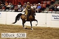 10buck_5238 proof
