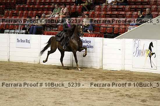 Proof 10buck_5239