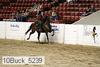 10buck_5239 proof