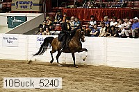 10buck_5240 proof