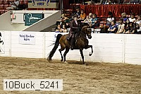 10buck_5241 proof