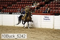 10buck_5242 proof
