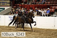 10buck_5243 proof
