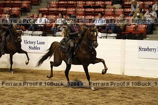 Proof 10buck_5244