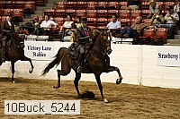 10buck_5244 proof