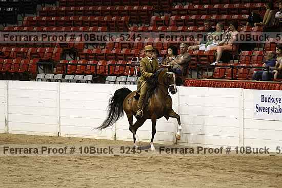Proof 10buck_5245