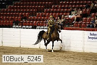 10buck_5245 proof