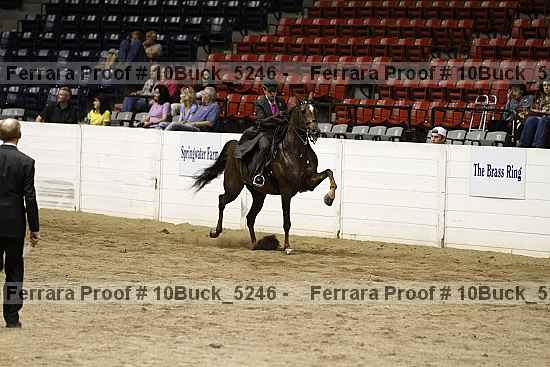 Proof 10buck_5246