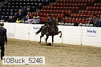 10buck_5246 proof