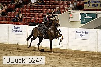 10buck_5247 proof