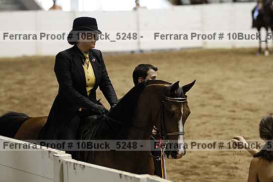 Proof 10buck_5248