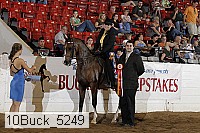 10buck_5249 proof